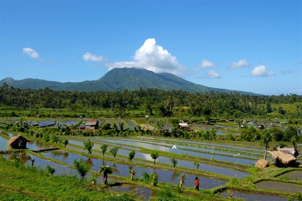 SOLO TO MT BROMO