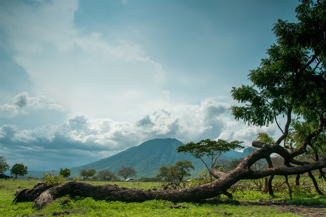 BALURAN NATIONAL PARK