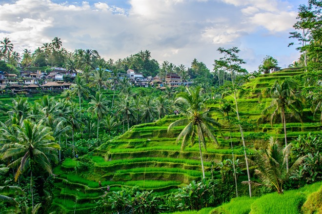 FREE DAY IN UBUD