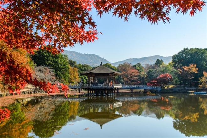 KYOTO