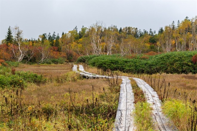 Tsugaike Nature Park