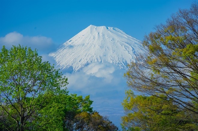 Mt Fuji