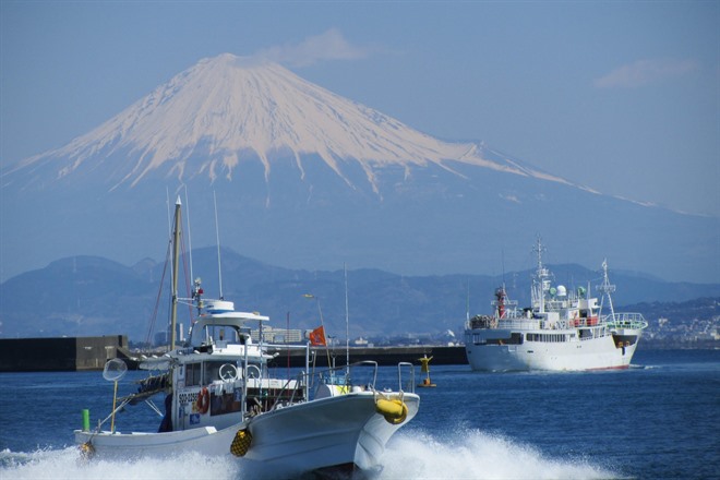 Yaizu