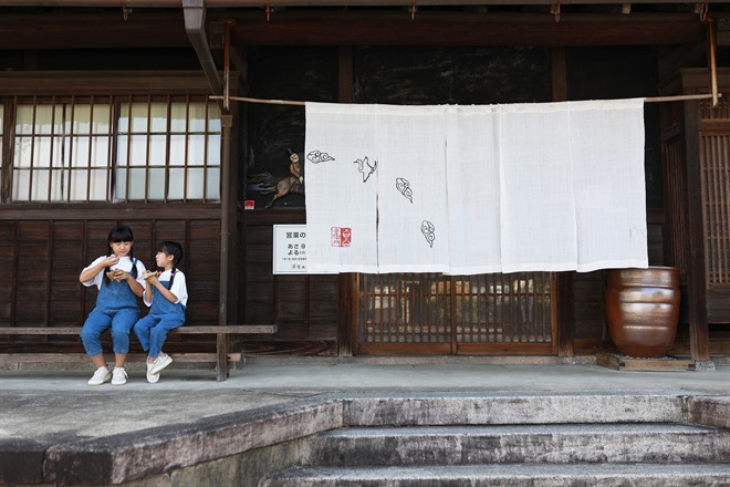 Fukuchiyama Castle Town