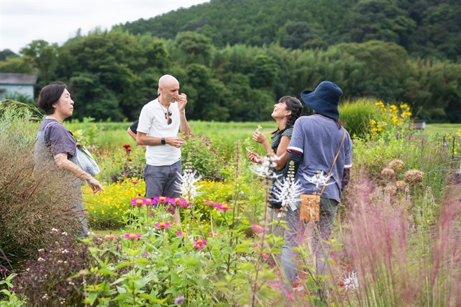 Flower Garden