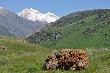 AKSU ZHABAGLY RESERVE