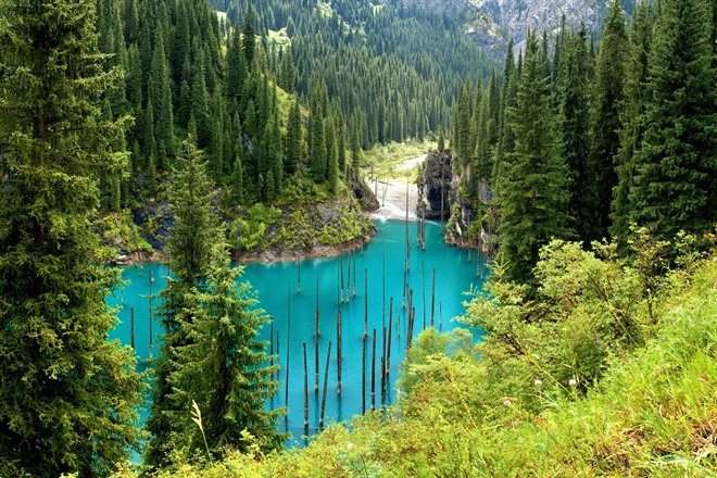Kaindy Lake, Kazakhstan 