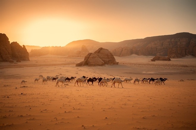 ALULA