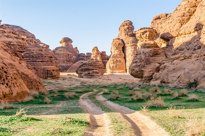 Sharaan Nature Reserve