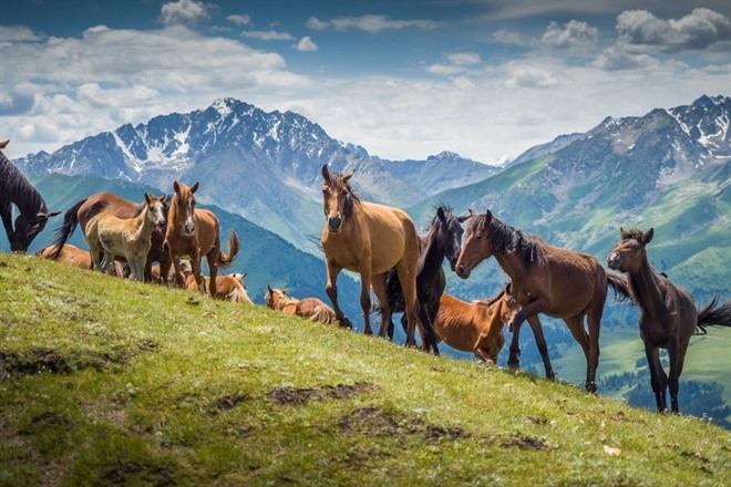 KARAKOL & JYRGALAN VALLEY