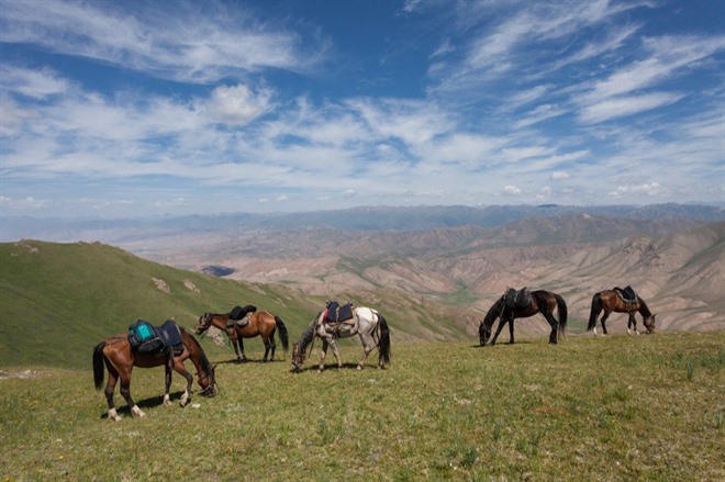 Jalgyz Karagai pass