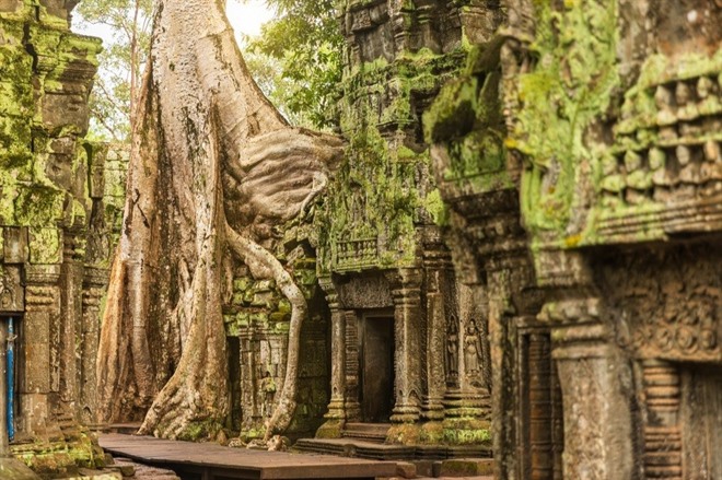 Ta Prohm Temple