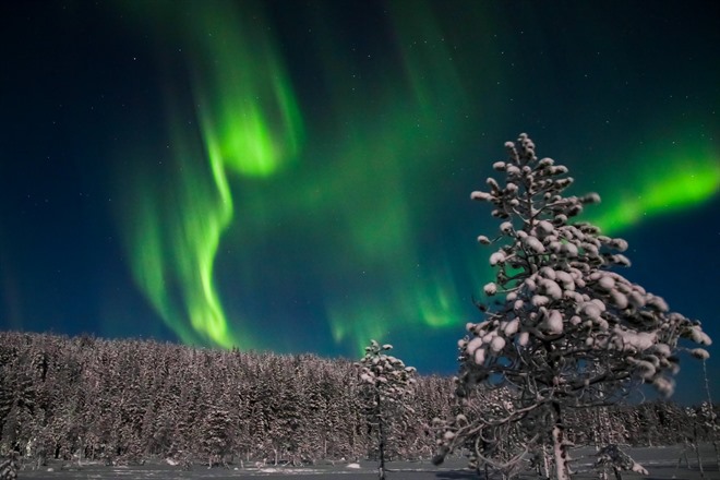 Northern lights - Lapland