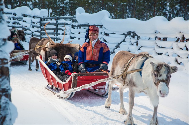 Reindeer sleigh ride - Lapland
