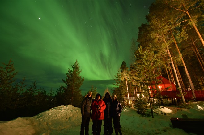 The northern lights at the Treehotel