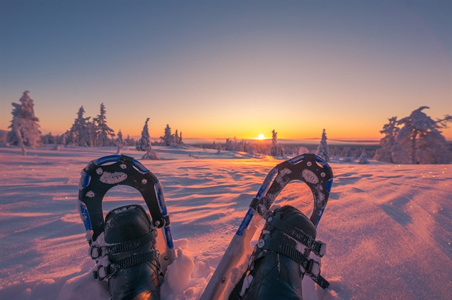 Snowshoeing - Lapland