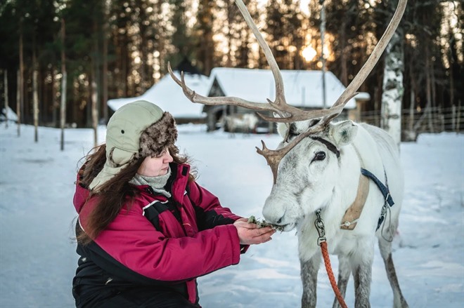 REINDEER FARM VISIT AND SAFARI