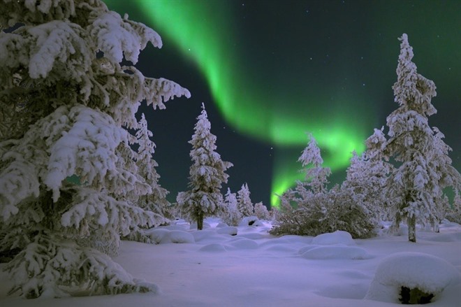 Northern Lights Hunt