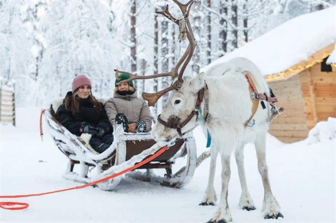 Reindeer Sleigh Ride