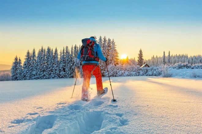 Snowshoeing
