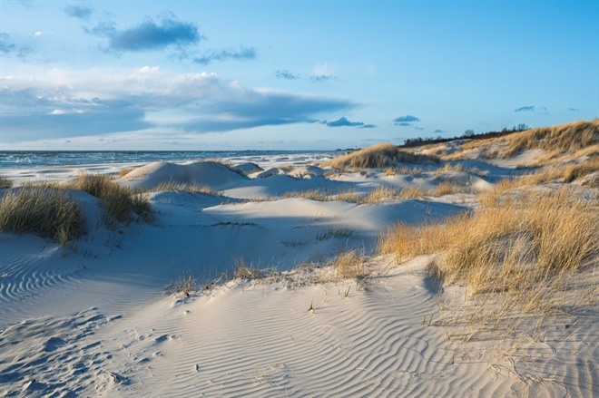 Baltic beach