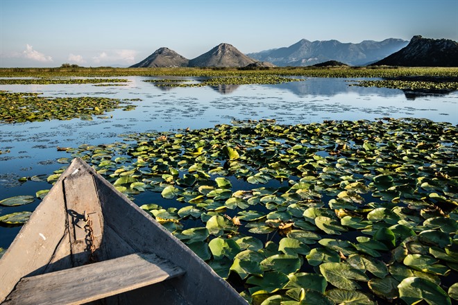 Lake Skadar