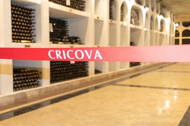 Cricova Winery