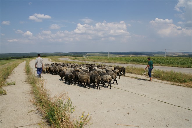 Rural scenes in Gagauzia