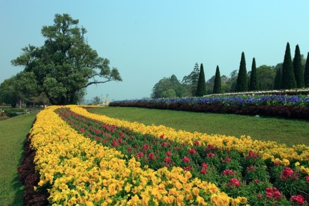 YANGON TO PYIN OO LWIN