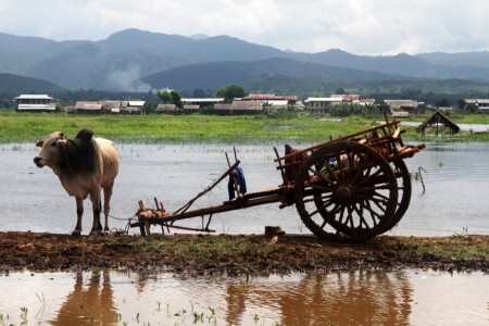 INLE LAKE