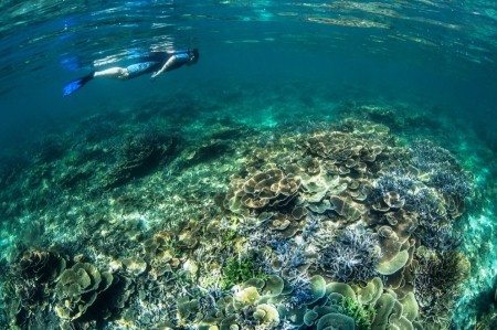 PILA ISLAND