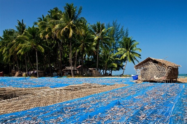 NGAPALI BEACH
