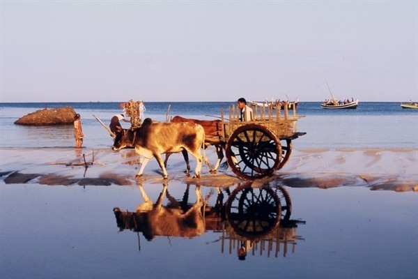 NGAPALI BEACH