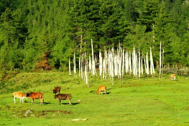 HAA VALLEY TO PARO