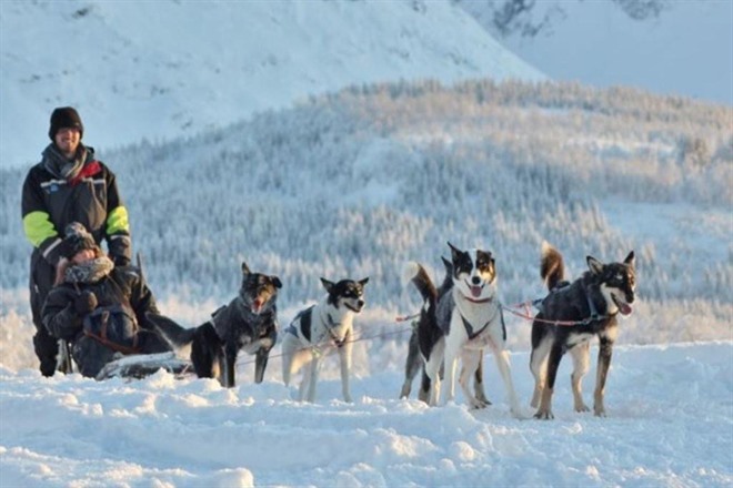 LYNGEN EXPERIENCE LODGE & NORTHERN LIGHTS EXPERIENCE
