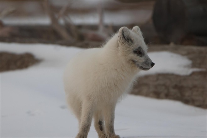 NORTHEAST SVALBARD