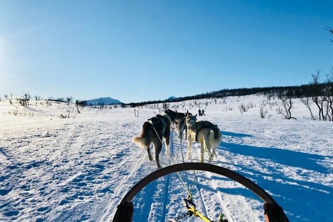 EXPLORE TROMSO