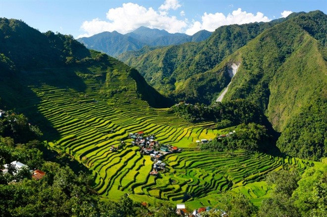 Banaue Rice Terraces