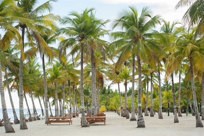 Bohol Beach Club