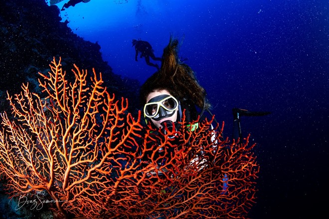 Diving in Northern Visayas