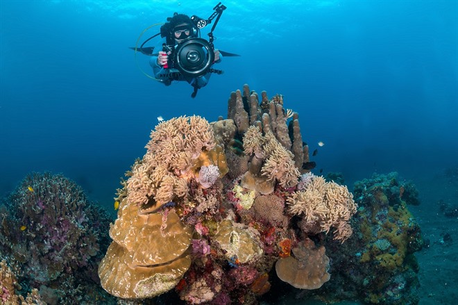 Diving in Northern Visayas