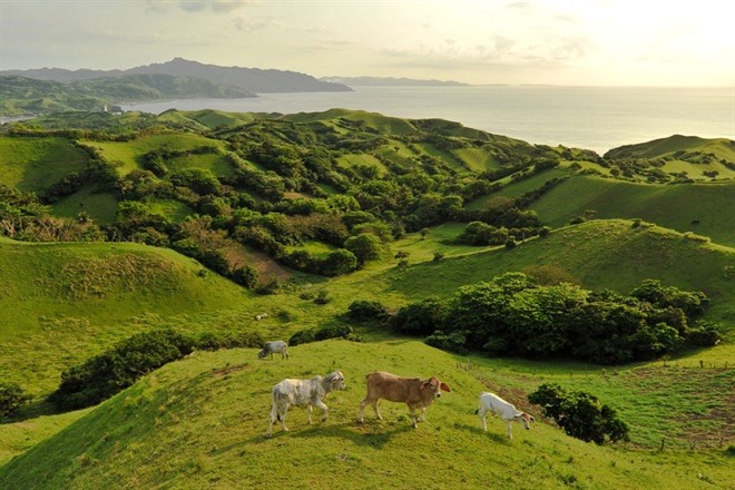 Vayang Rolling Hills