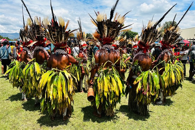 Women in their dance formation, Goroka Show