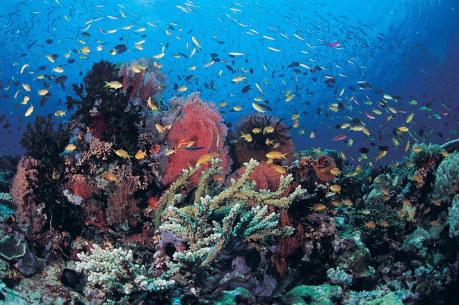 Scuba diving on Lissenung Island