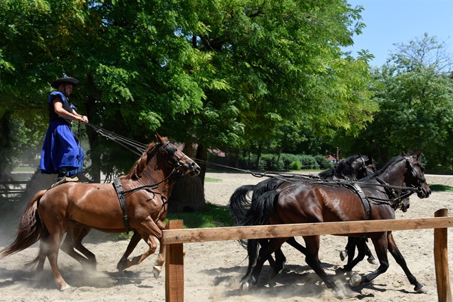 Puszta’ horse show, Kecskemét - Photo Credit@Andrea Peto