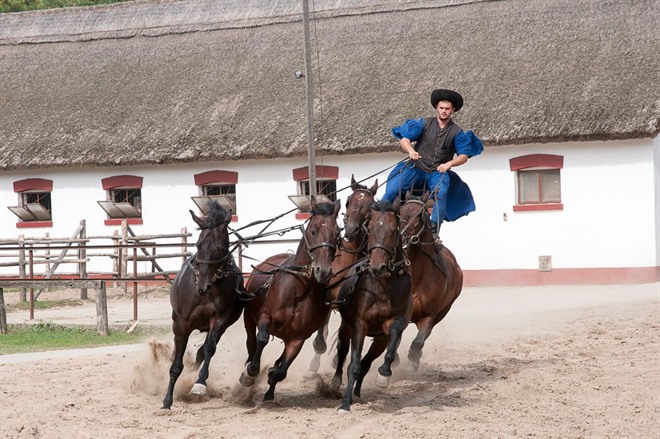 ‘Puszta’ horse show - Lajosmizse 