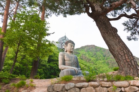 CHUNGJU & MONASTERY STAY