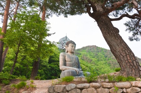 Temple Stay