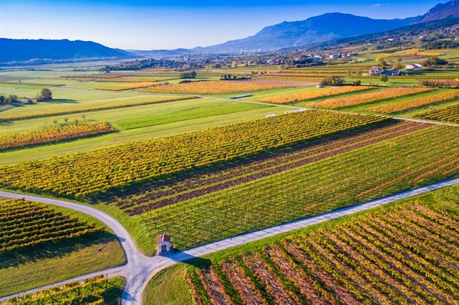 Vipava valley countryside