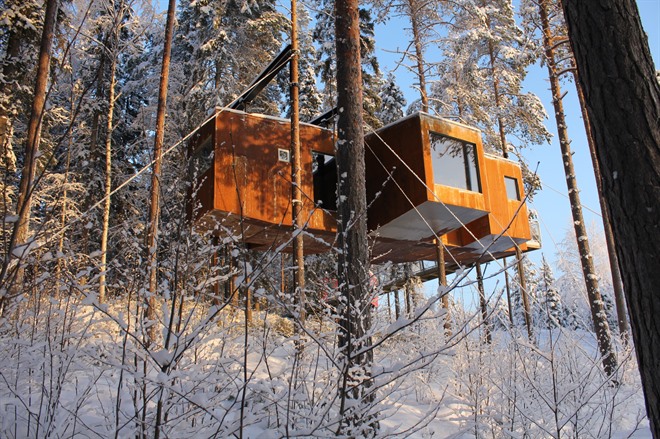 The Dragonfly, Treehotel Sweden